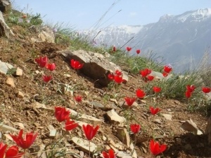 روستای نشتارود و قله خونکار