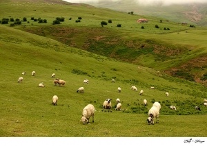 سوباتان - بهشتی دیگر