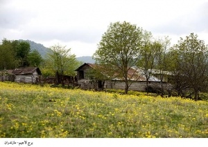 روستای لاجیم