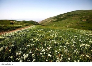 روستای انبوه