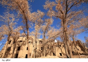 روستای خرانق