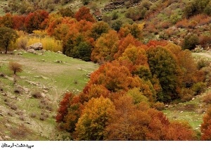 رنگ در رنگ در آبشار بیشه