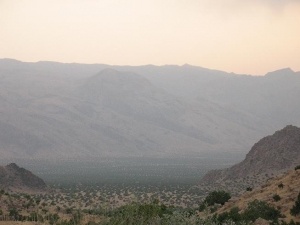 انجیرستان‌های استهبان