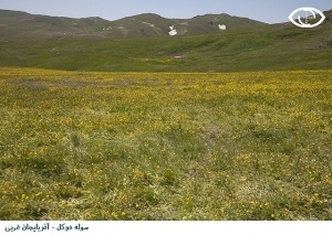 دالامپربهشت گمشده