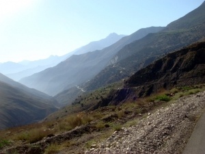 دره پنیری - ناظر